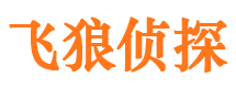 大庆市婚外情调查